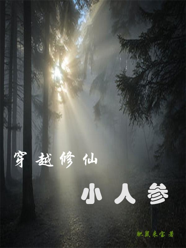 穿越修仙小说系列