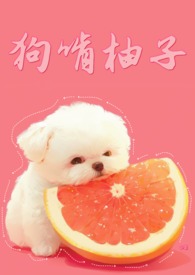 小狗爱吃柚子
